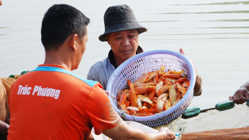 Dong Nai: Lac vao 