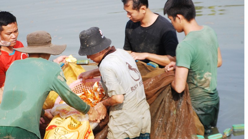 Dong Nai: Lac vao 