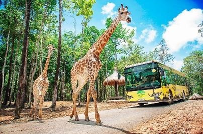 Vinpearl Safari Phu Quoc top dau vuon thu va thuy cung tai Chau A-Hinh-2