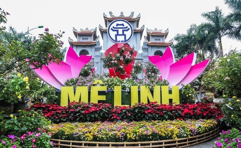 Le hoi hoa Me Linh lan thu 2 hoi tu dan sao “dinh noc“