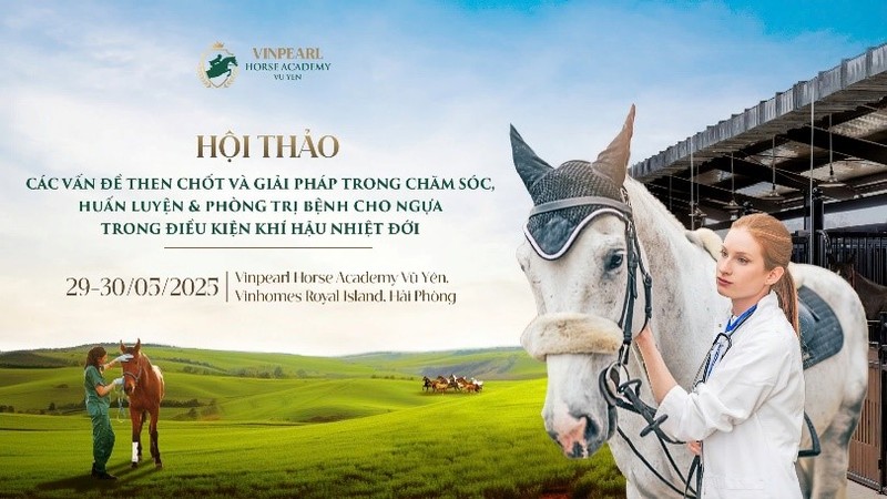 Học viện Cưỡi Ngựa Vinpearl Vũ Yên tổ chức Hội thảo chuyên sâu Hoc vien Cuoi Ngua Vinpearl Vu Yen to chuc Hoi thao chuyen sau