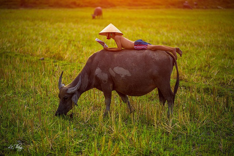 Tre em chan trau va nhung tro tieu khien thu vi-Hinh-9