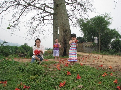 Xem tre em thanh pho quay pha tung bung khi ve que-Hinh-2