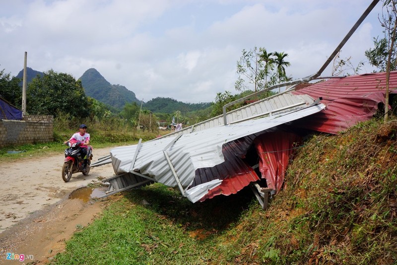 Hinh anh tan hoang sau tran mua da hiem thay o Thanh Hoa-Hinh-3