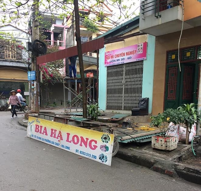 Nguoi Ha Long bac thang tu pha do mai ton lan via he-Hinh-6