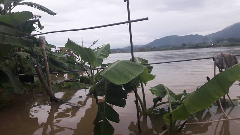 Ca chet trang do thuy dien Hoa Binh xa lu: Dan khoc nhu mua-Hinh-2