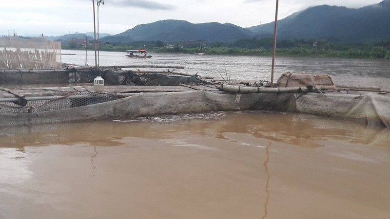 Ca chet trang do thuy dien Hoa Binh xa lu: Dan khoc nhu mua-Hinh-3