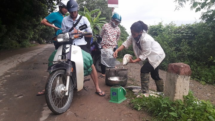 Ca chet trang do thuy dien Hoa Binh xa lu: Dan khoc nhu mua-Hinh-4