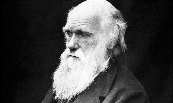 He lo can benh quai la day bi an cua nha bac hoc Charles Darwin