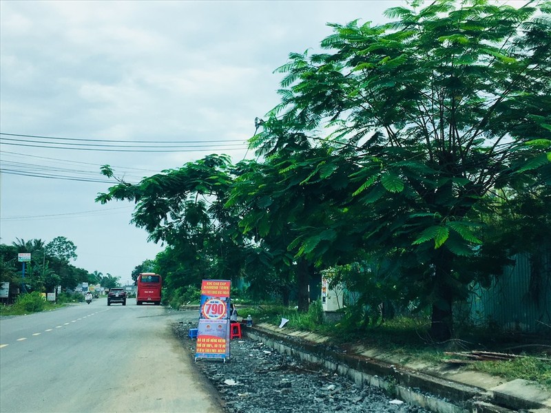 Con sot dat Long Thanh: Chinh quyen canh bao, moi gioi van “lam loan“