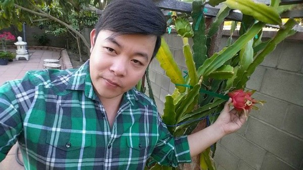 Khu vuon day ap hoa trai trong biet thu cua Thanh Thao, Quang Le o My-Hinh-2