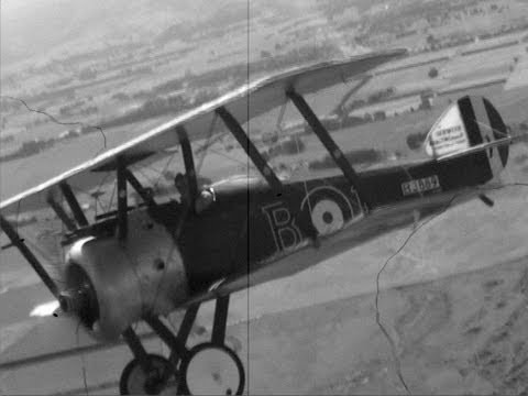 Sopwith Camel: Con 