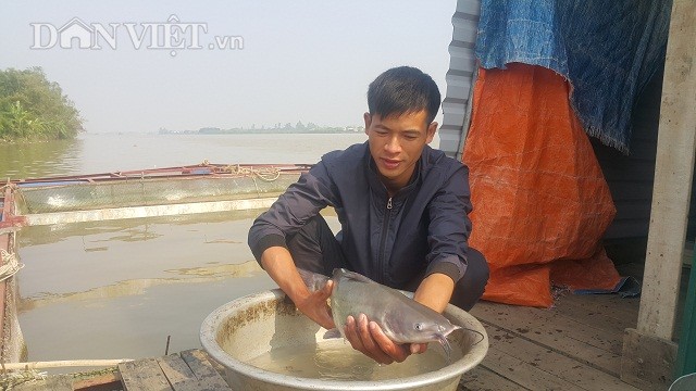 Nuoi ca lang, tram den ban Tet, thuong lai den “xuc” ca long