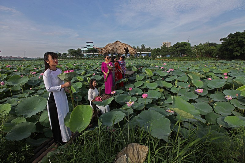 Nang chay da, U bao nhieu dam minh duoi dam sen tao dang?-Hinh-2