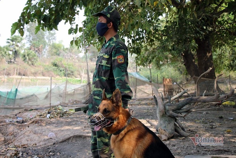 Bo doi bien phong Viet Nam 