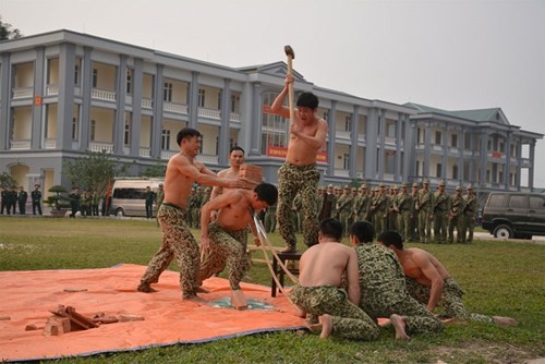 Suc manh vo thuat tuyet voi cua dac cong Viet Nam-Hinh-2