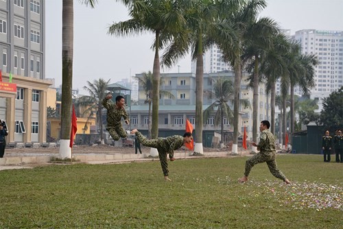 Suc manh vo thuat tuyet voi cua dac cong Viet Nam-Hinh-5