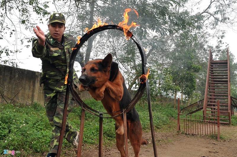 Khoang khac an tuong Quan doi Viet Nam trong thoi binh-Hinh-6