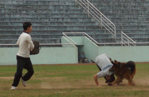 Man nhan bo doi bien phong Viet Nam trinh dien suc manh-Hinh-10