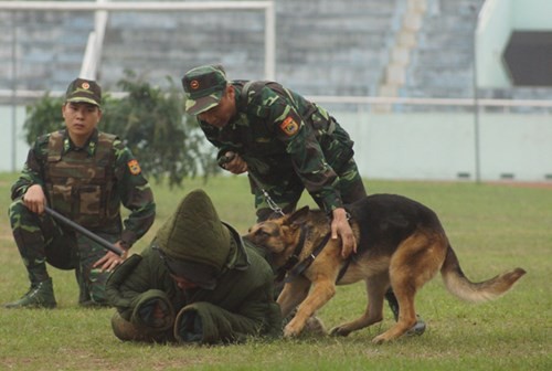 Man nhan bo doi bien phong Viet Nam trinh dien suc manh-Hinh-14