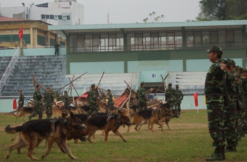 Man nhan bo doi bien phong Viet Nam trinh dien suc manh-Hinh-3