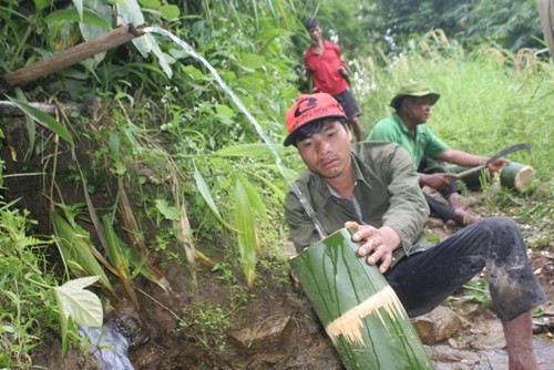 Can canh loai tre khong lo tren nui cao Quang Nam-Hinh-8