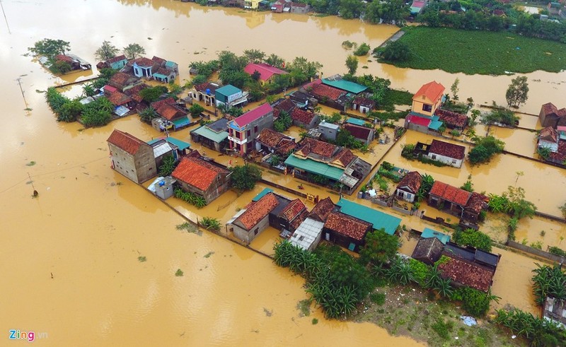 Xot xa canh 20.000 ngoi nha chim trong lu du mien Trung-Hinh-4