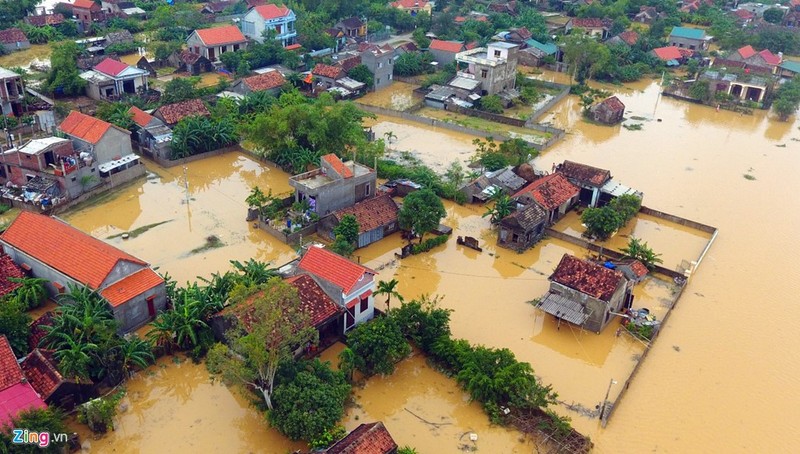 Xot xa canh 20.000 ngoi nha chim trong lu du mien Trung-Hinh-7