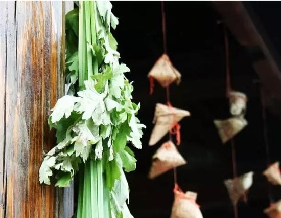 Lá Cây Đào Trừ Bùa Ngải: Bí Quyết Từ Thiên Nhiên Để Hóa Giải Năng Lượng Xấu