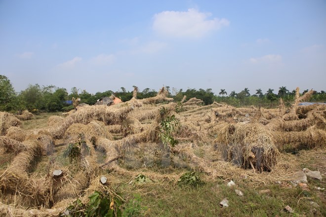 Kham pha noi “hoi sinh” hang xa cu ben duong Kim Ma-Hinh-15