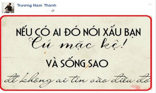 Truong Nam Thanh ngoai tinh, fan se khong phan ung the nay?-Hinh-2