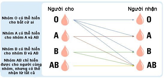 Tai sao AB la nhom mau hiem nhat the gioi?-Hinh-2