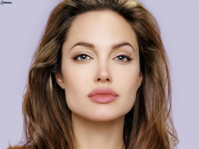 Boi chuan tu vi cho cap doi vang Angelina Jolie - Brad Pitt-Hinh-7