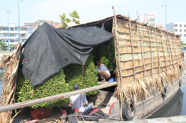 Thuyen hoa tap nap ve ben Sai Gon-Hinh-7