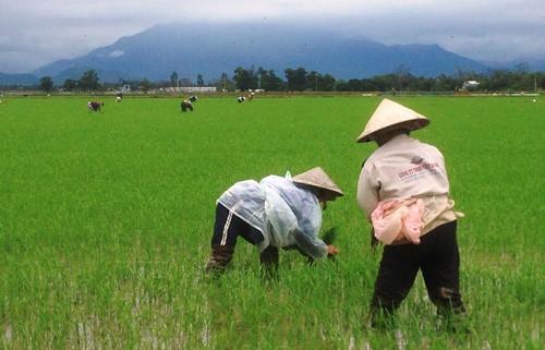 Nguoi dan que ngong tin suc khoe ong Nguyen Ba Thanh-Hinh-4