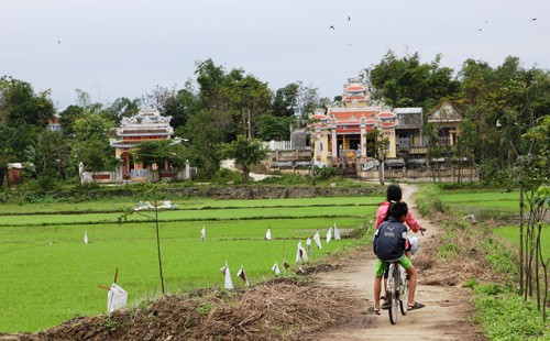 Nguoi dan que ngong tin suc khoe ong Nguyen Ba Thanh-Hinh-5