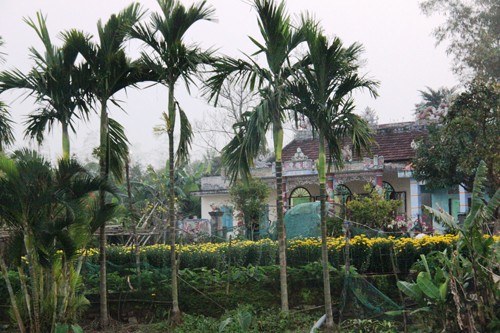 Khong khi buon o que ngheo ong Nguyen Ba Thanh-Hinh-3