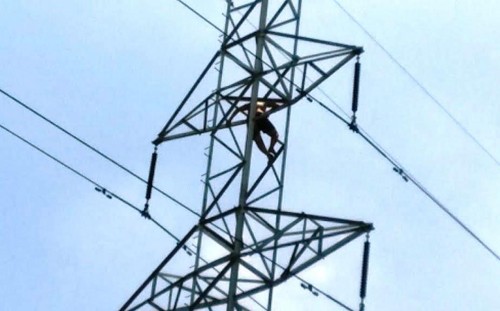 Thanh nien nghi ngao da, “dien tro” tren duong day 110KV