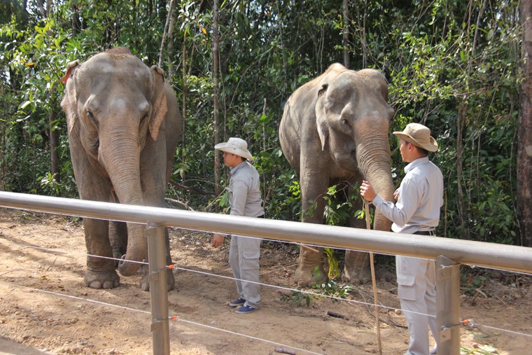 Thot tim tan mat su tu, ho san moi ngay Phu Quoc-Hinh-3