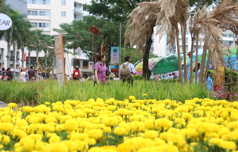 Long lay duong hoa Tet 2017 o KDT hien dai nhat SG-Hinh-17