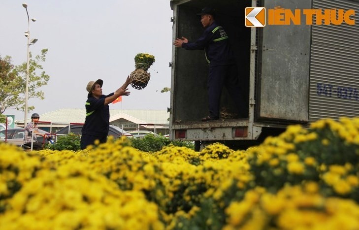 Anh: Duong hoa Nguyen Hue ruc ro truoc ngay khai mac-Hinh-14