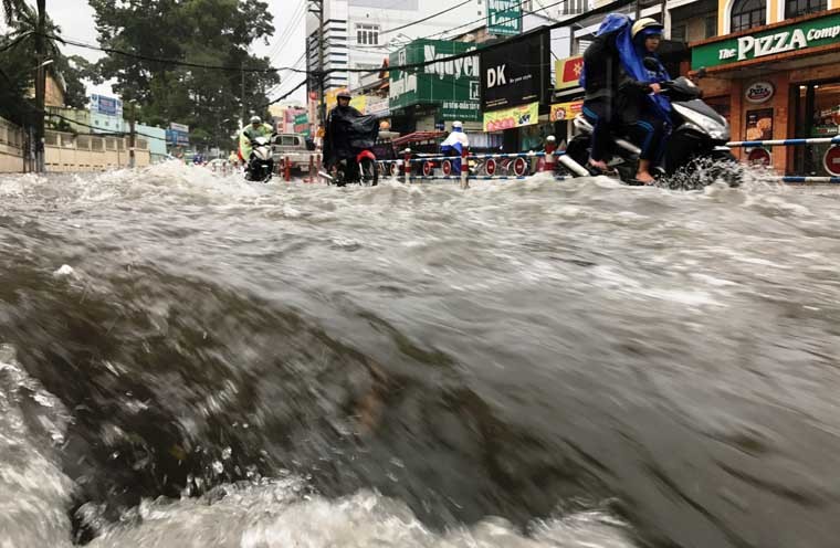 Mua dong kinh hoang o Sai Gon: Cay do, duong ngap, bay mai nha-Hinh-2