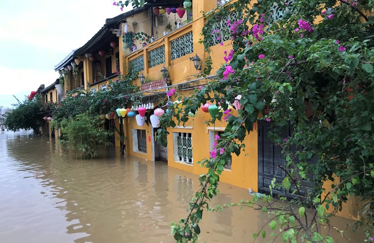 Nhung hinh anh “la mat” noi pho co Hoi An chim trong bien nuoc-Hinh-7