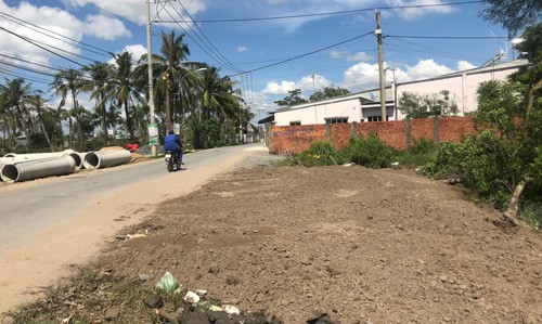 TPHCM: Dan phan uat cay Sop hang tram tuoi bi doanh nghiep chiem doat-Hinh-2