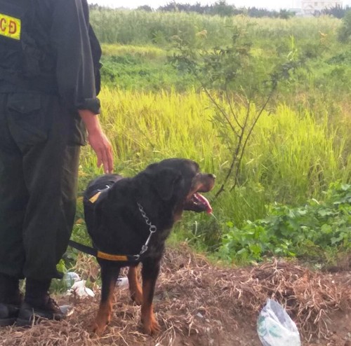 Loi khai nam thanh nien di cuop vi khong xin duoc viec lam-Hinh-2