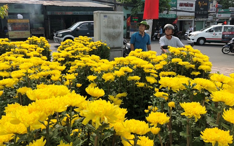 Ngay 30 Tet, nguoi buon hoa “nin tho” cho khach-Hinh-10