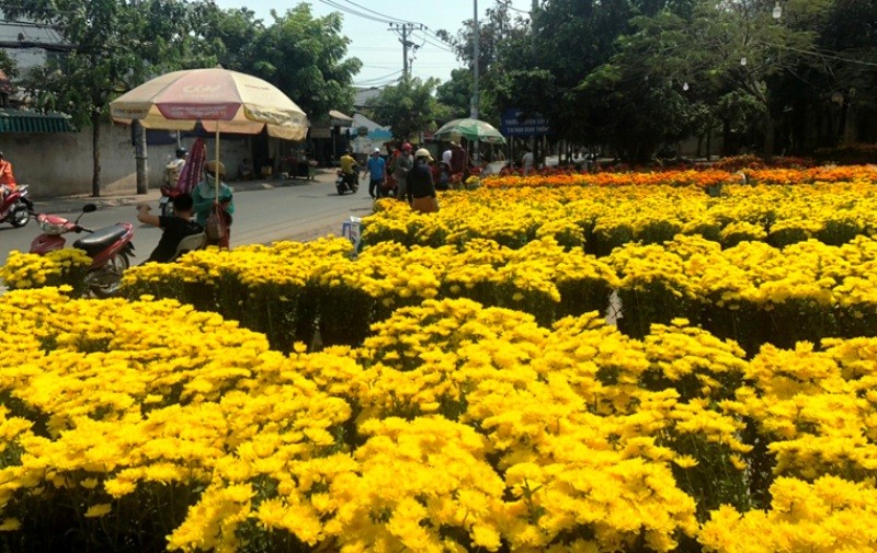 Ngay 30 Tet, nguoi buon hoa “nin tho” cho khach-Hinh-8