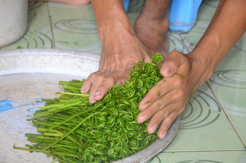 Nghe hai rau choai muu sinh o ngoai thanh Sai Gon-Hinh-8