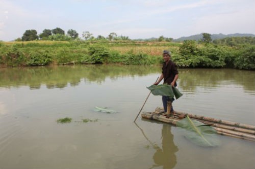 Chum anh: Nhung thuong binh vuot kho lam giau-Hinh-8