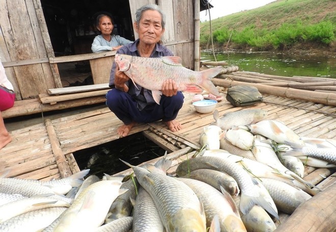 10 su kien nong ham hap du luan VN trong tuan (112)-Hinh-5